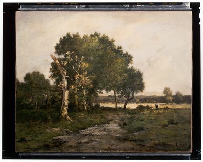 Landscape (c.19th century) by Unknown artist