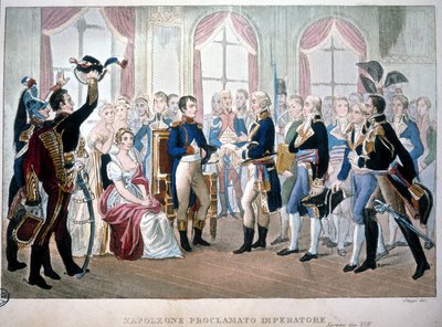 Napoleon Proclaimed Emperor in 1804 by Unknown artist