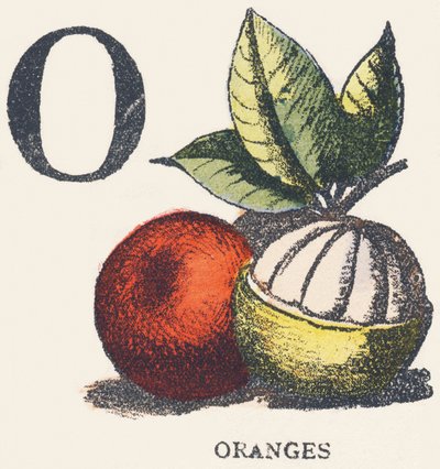 O: Oranges by Unknown artist