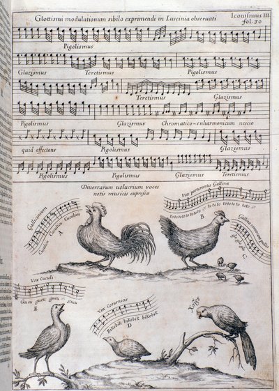 Page from Musurgia (1650) by Unknown artist