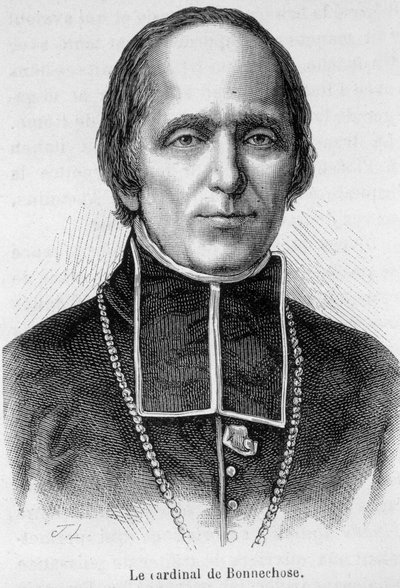 Portrait of Cardinal de Bonnechose by Unknown artist