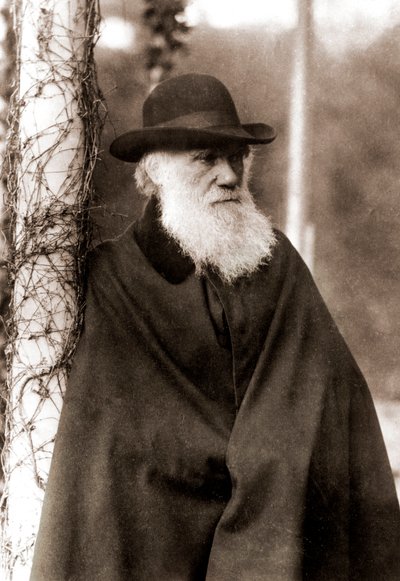 Portrait of Charles Darwin (1809-1882) by Unknown artist
