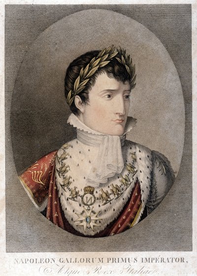 Portrait of Napoleon, Emperor by Unknown artist