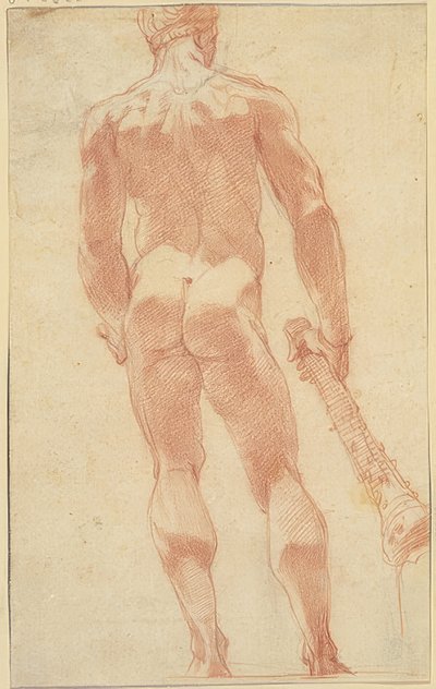 Standing Hercules from the Back by Unknown