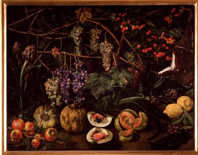 Still life with grapes and squashes by Unknown artist