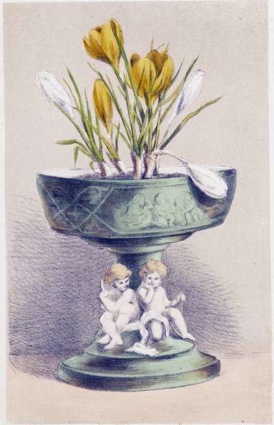 The Four Seasons: Spring, Daffodils by Unknown artist