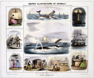 The Whale, c. 1845 by Unknown artist