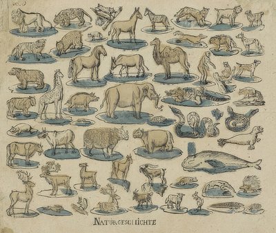 Animals. 1750-1800 by Unknown