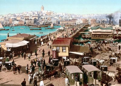 View of Constantinople. Photochrome c. 1890 by Unknown artist