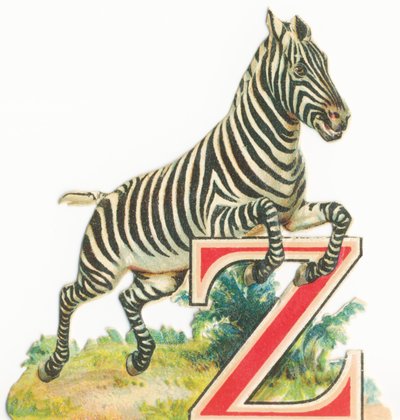 Zebra by Unknown artist