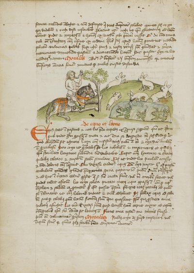 A Hunter on Horseback Hunting Hare by Unknown artist