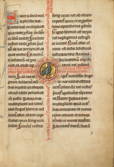 A Medallion with a Turtle Dove by Unknown artist