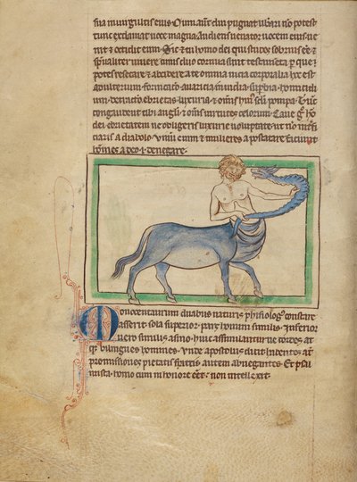 A Monocentaurus by Unknown artist