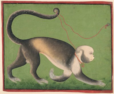 A Monumental Portrait of a Monkey by Unknown artist
