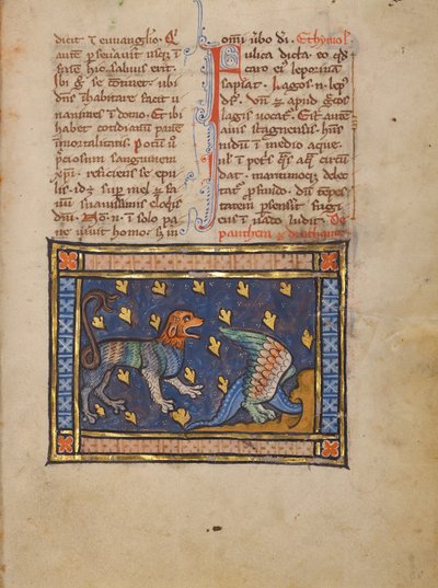 A Panther by Unknown artist