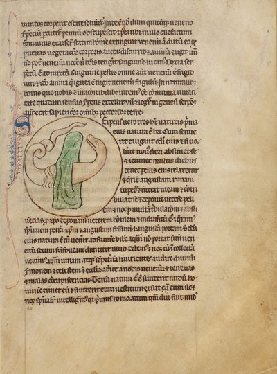 A Snake by Unknown artist