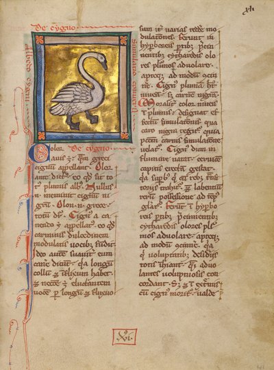 A Swan by Unknown artist