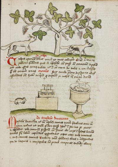 A Weasel and Several Captured Mice by Unknown artist