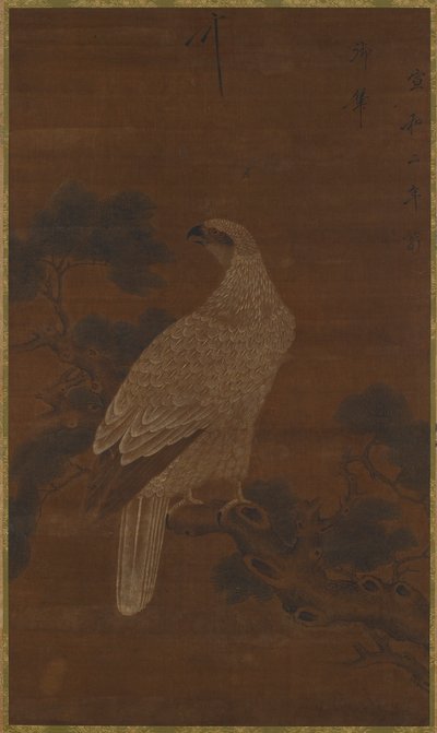 A White Eagle on a Pine Branch by Unknown artist