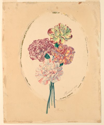 A Bunch of Four Carnations by Unknown artist