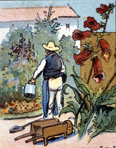 A gardener, chromolithography by Unknown artist