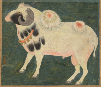 A Royal Ram with a Gold Chain by Unknown artist