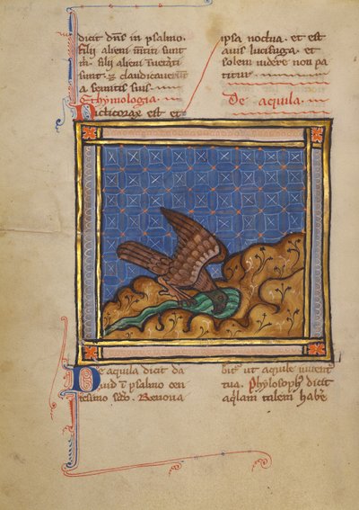 An Eagle by Unknown artist