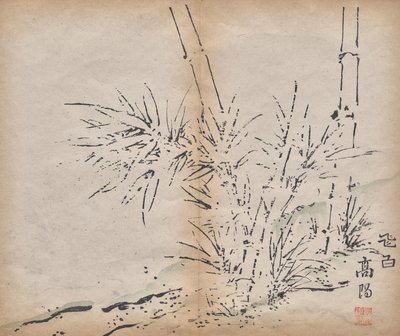 Bamboo by Unknown artist