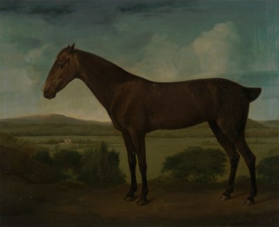 Brown Horse in a Hilly Landscape by Unknown artist