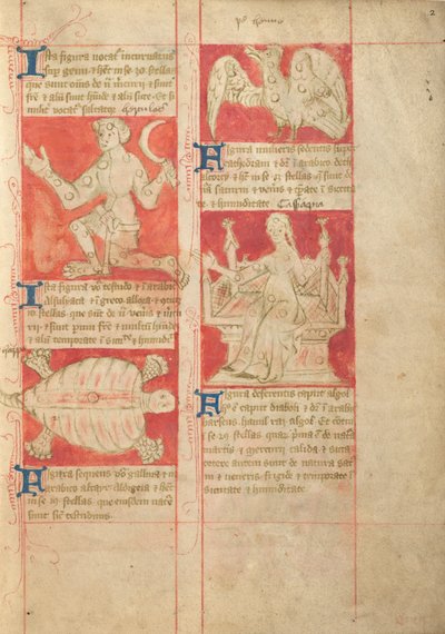 Constellation by Unknown artist