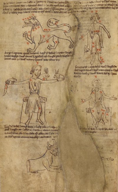 Constellation Diagrams by Unknown artist