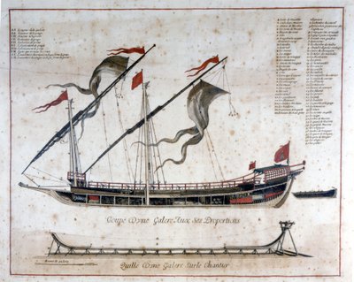 Cup of an 18th Century Galley by Unknown artist