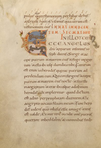 Decorated Initial E by Unknown artist