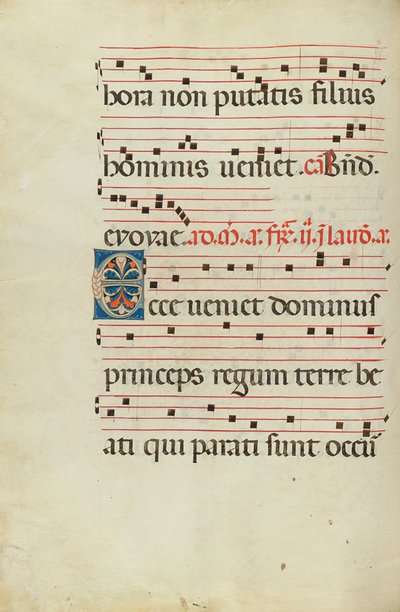 Decorated Initial E by Unknown artist