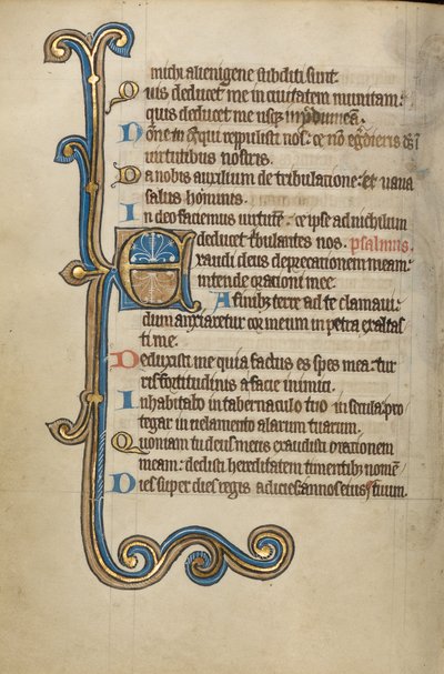Decorated Initial E by Unknown artist