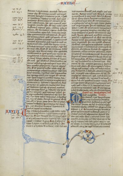 Decorated Initial M by Unknown artist