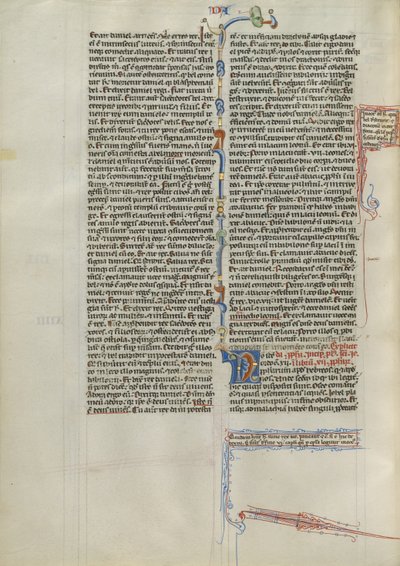 Decorated Initial N by Unknown artist