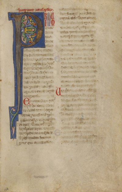 Decorated Initial P by Unknown artist