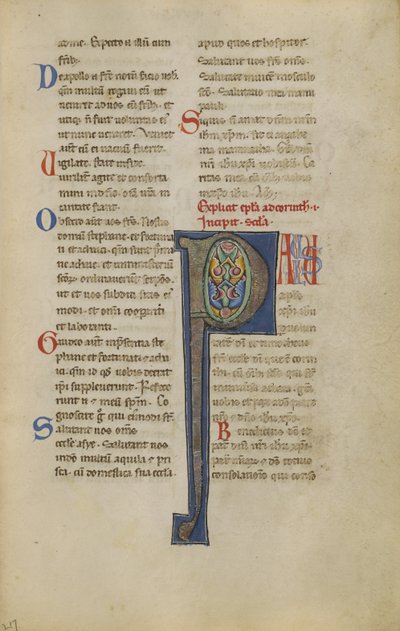 Decorated Initial P by Unknown artist