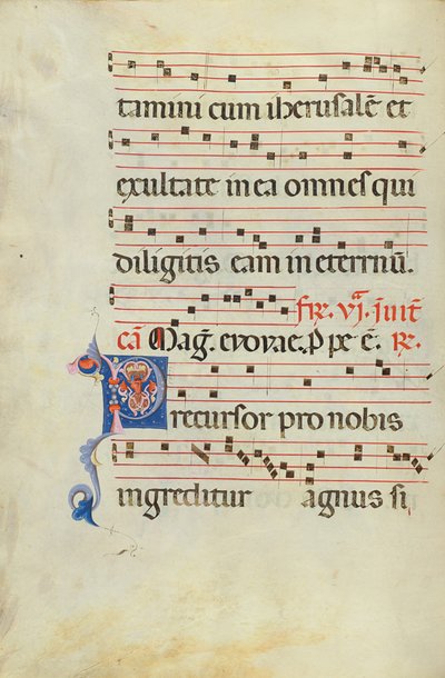 Decorated Initial P by Unknown artist