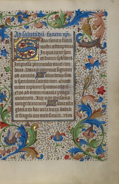 Decorated Initial S by Unknown artist
