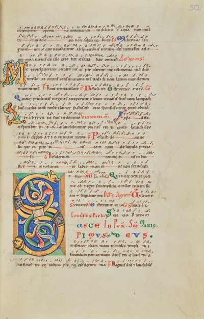 Decorated Initial S by Unknown artist
