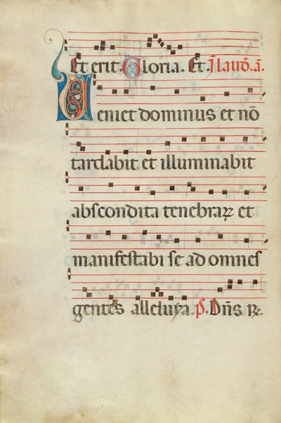 Decorated Initial V by Unknown artist