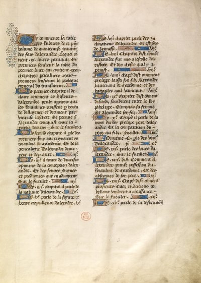 Decorated Text Page by Unknown artist