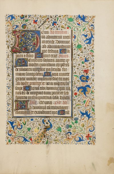 Decorated Text Page by Unknown artist