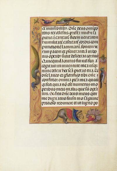 Decorated Text Page by Unknown artist