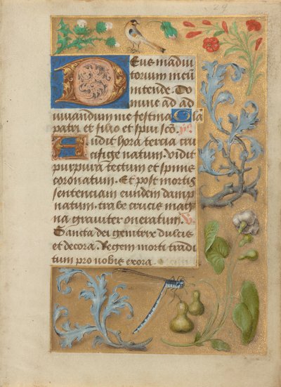 Decorated Text Page by Unknown artist