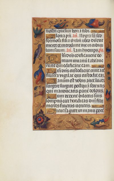 Decorated Text Page by Unknown artist