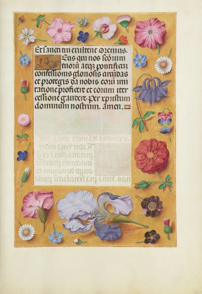 Decorated Text Page by Unknown artist