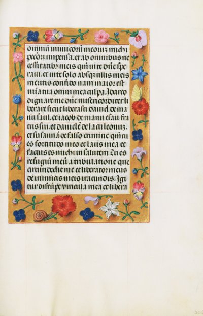 Decorated Text Page by Unknown artist
